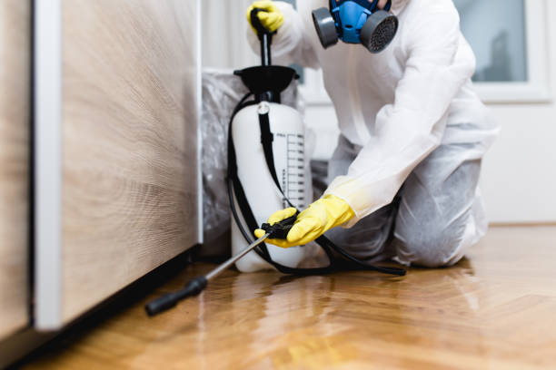 Reliable Miami Springs, FL Pest Control Solutions