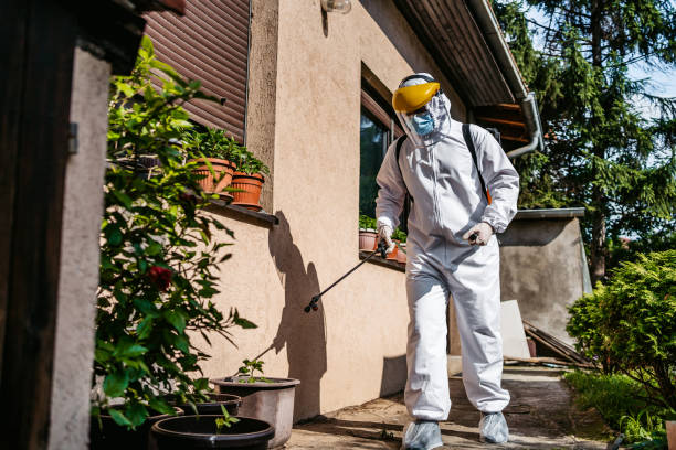 Best Pest Removal Services  in Miami Springs, FL