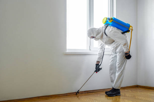 Best Best Pest Control Companies  in Miami Springs, FL