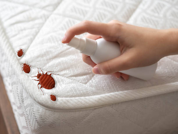 Pest Control Cost in Miami Springs, FL